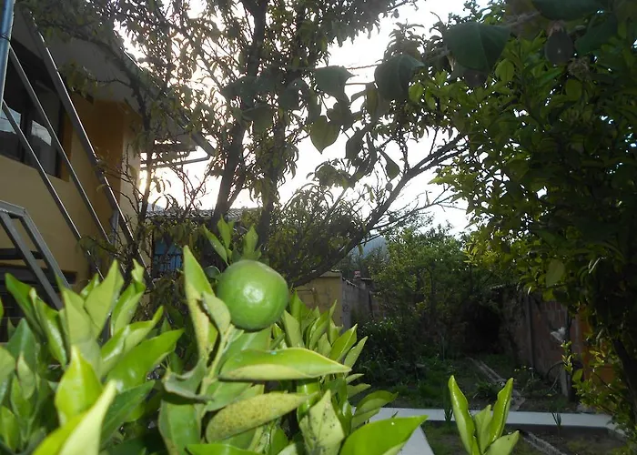 Garden Lodge