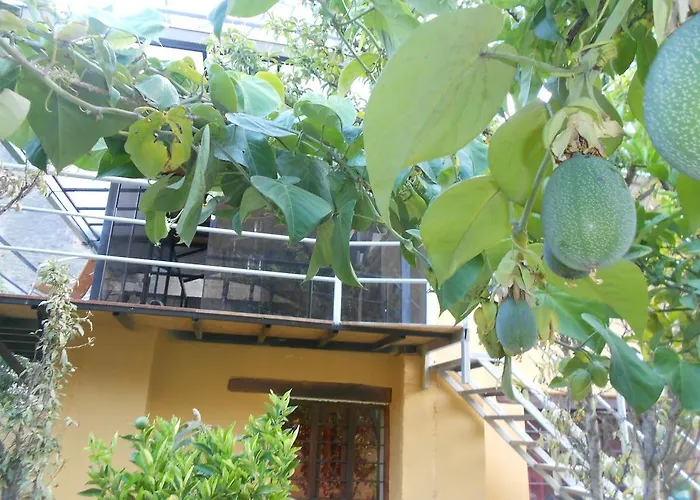 Garden Lodge